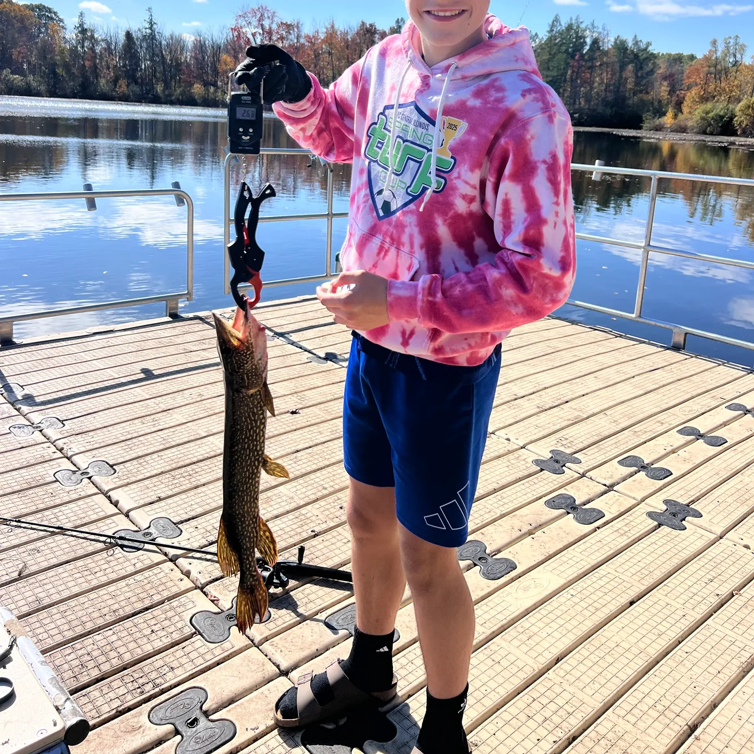 Northern pike caught on Fishbrain