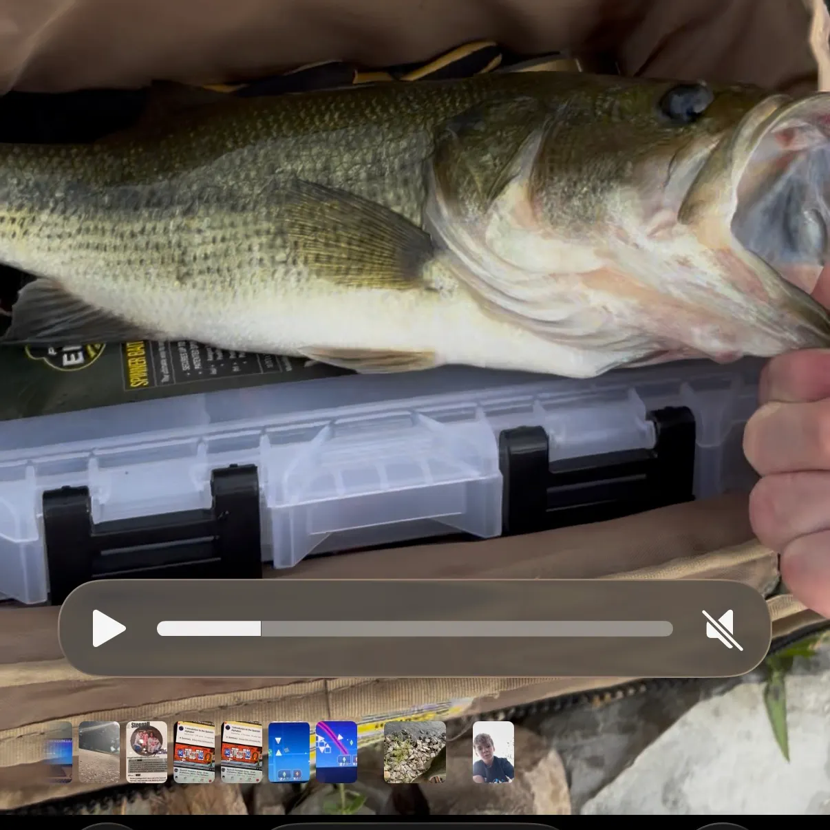 Largemouth bass caught on Fishbrain