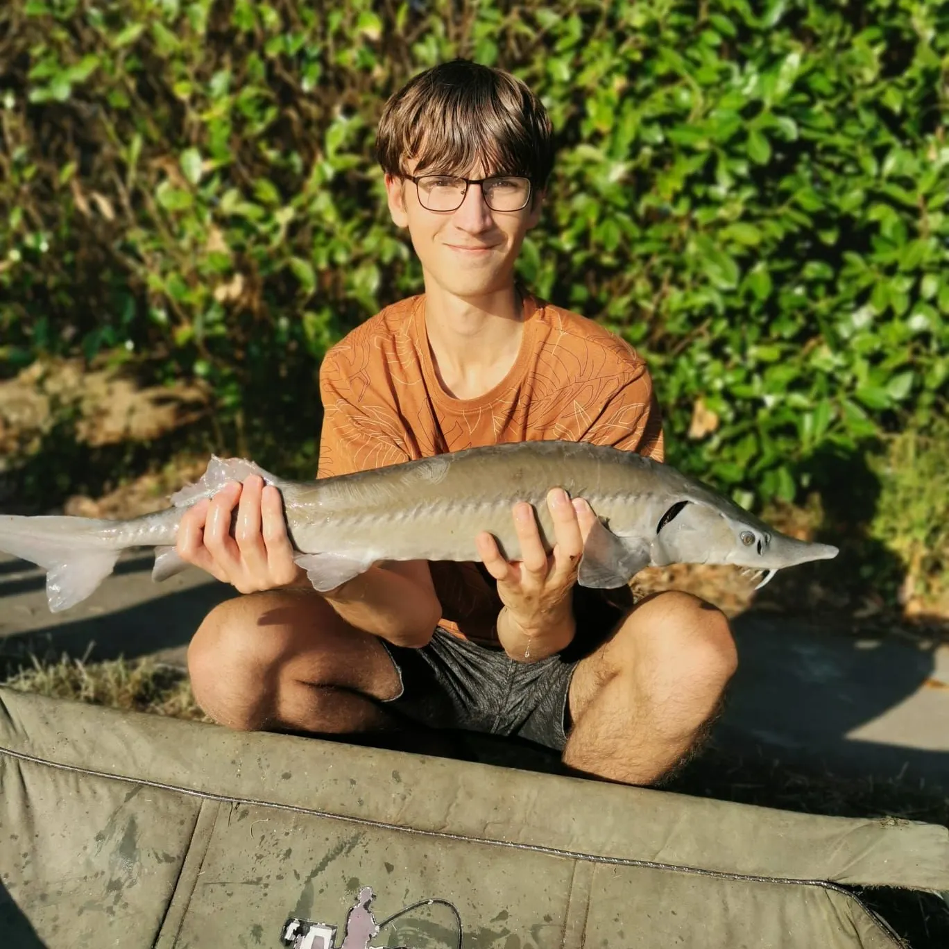 The most recent Sterlet catches on Fishbrain