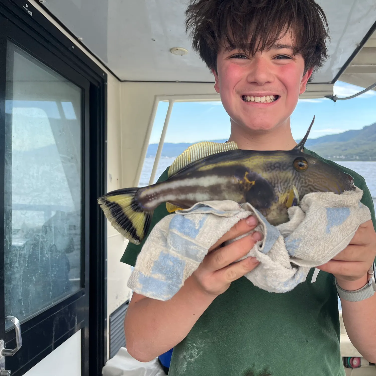 The most recent Yellowfin leatherjacket catches on Fishbrain