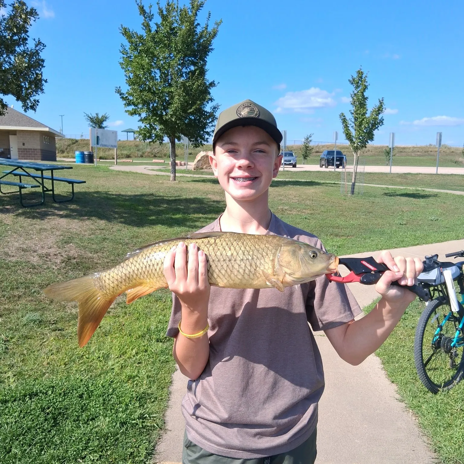 Common carp caught on Fishbrain