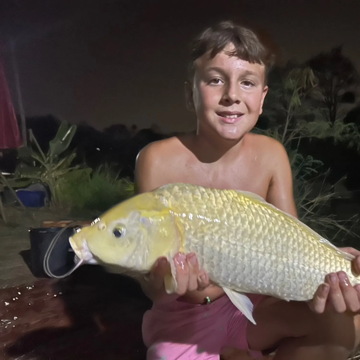 The most recent Koi x common carp catches on Fishbrain