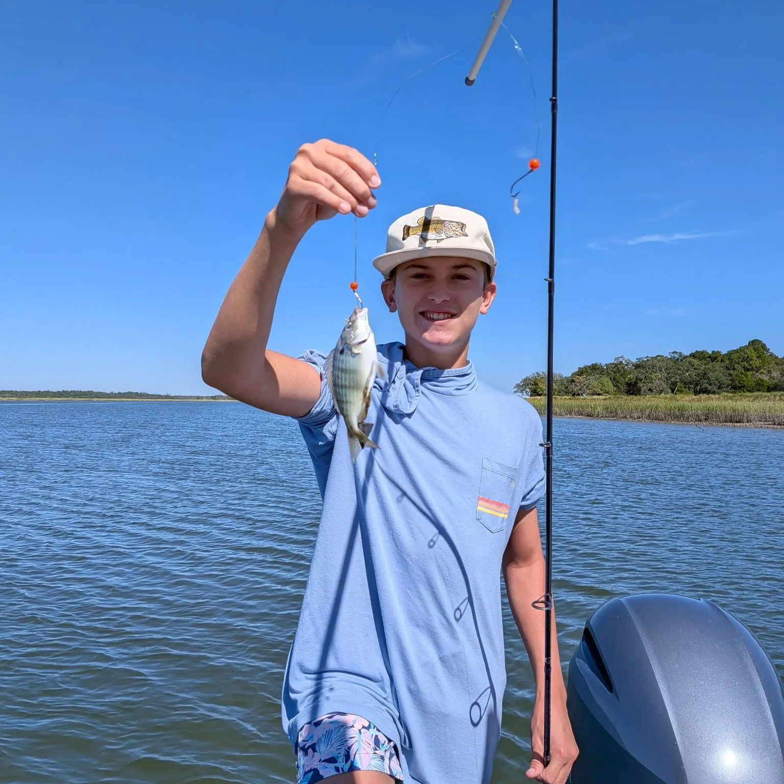 Pinfish caught on Fishbrain