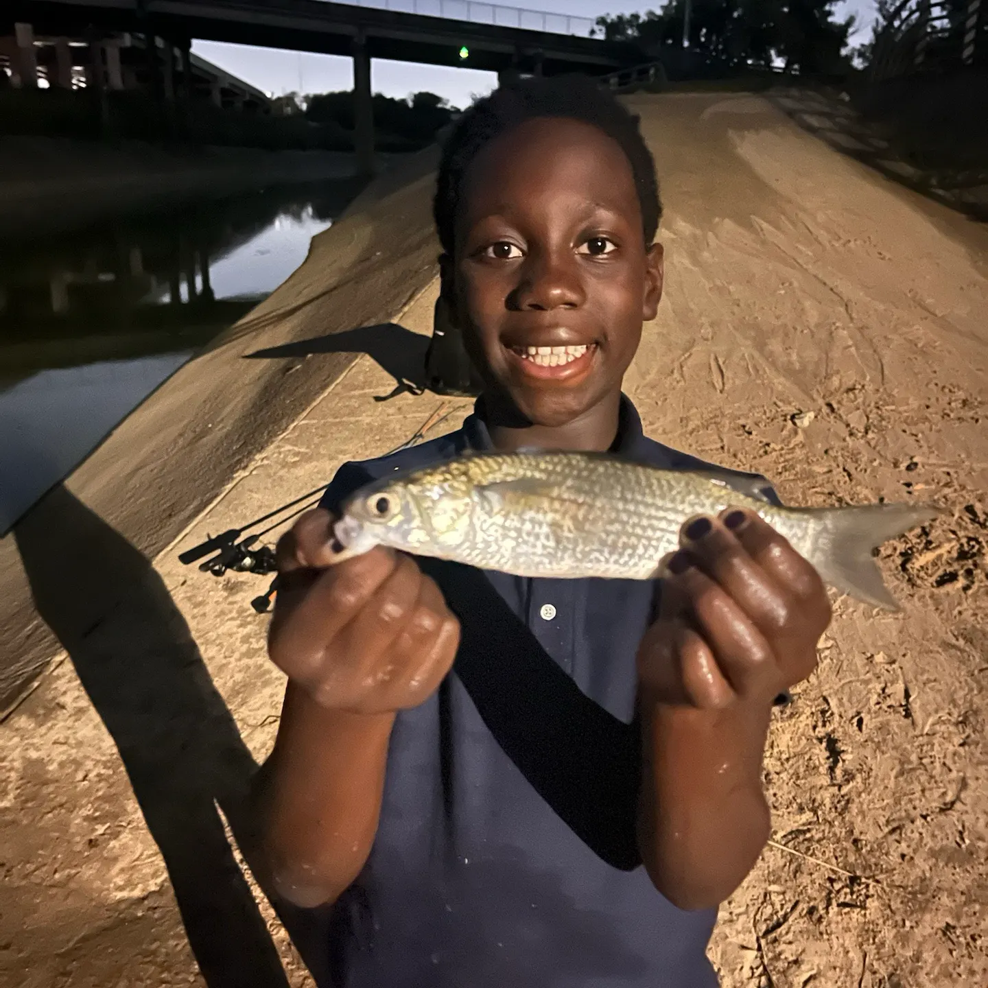 Striped mullet caught on Fishbrain