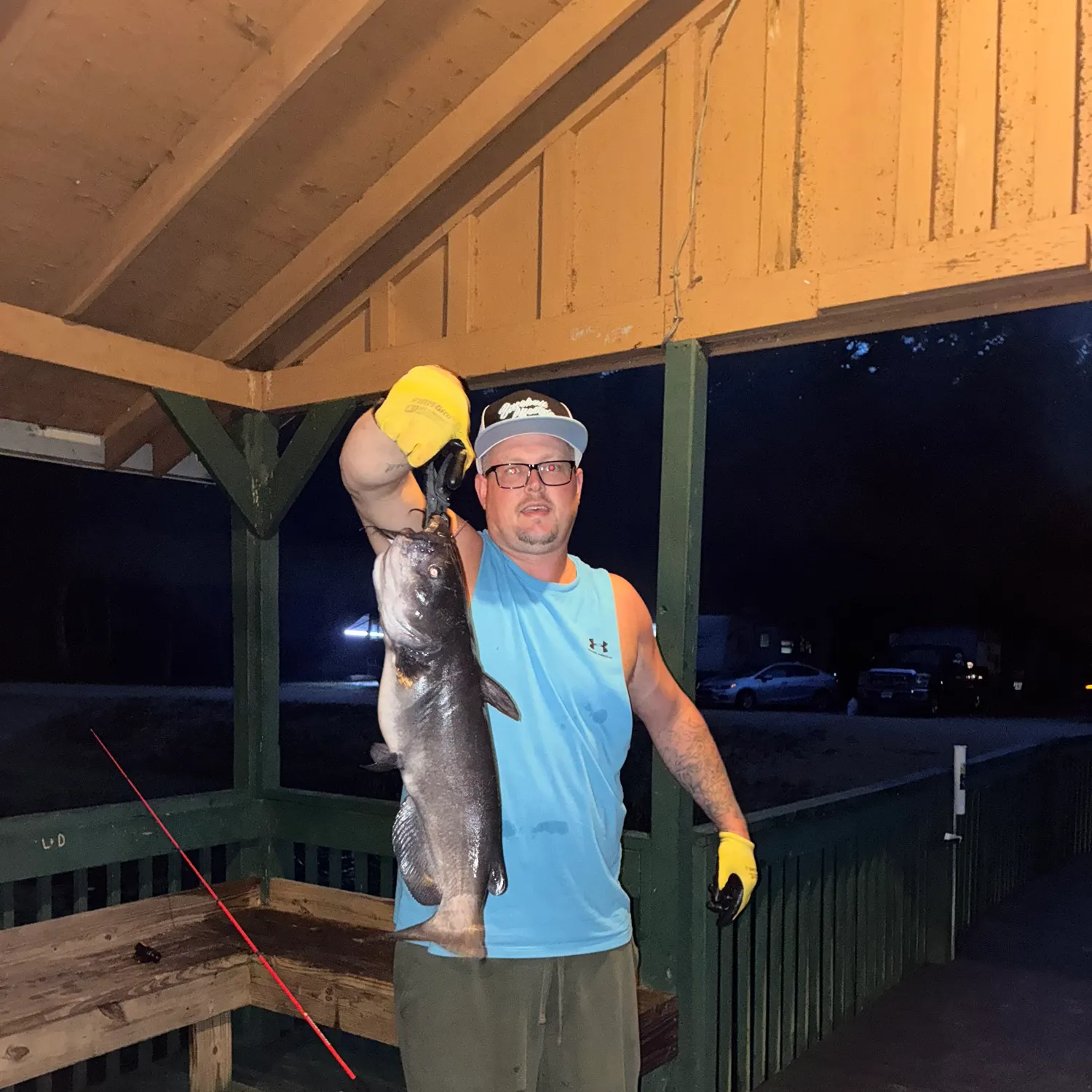Channel catfish caught on Fishbrain
