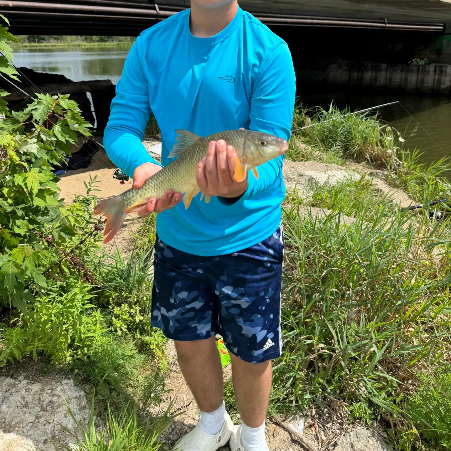 The most recent Shorthead redhorse catches on Fishbrain