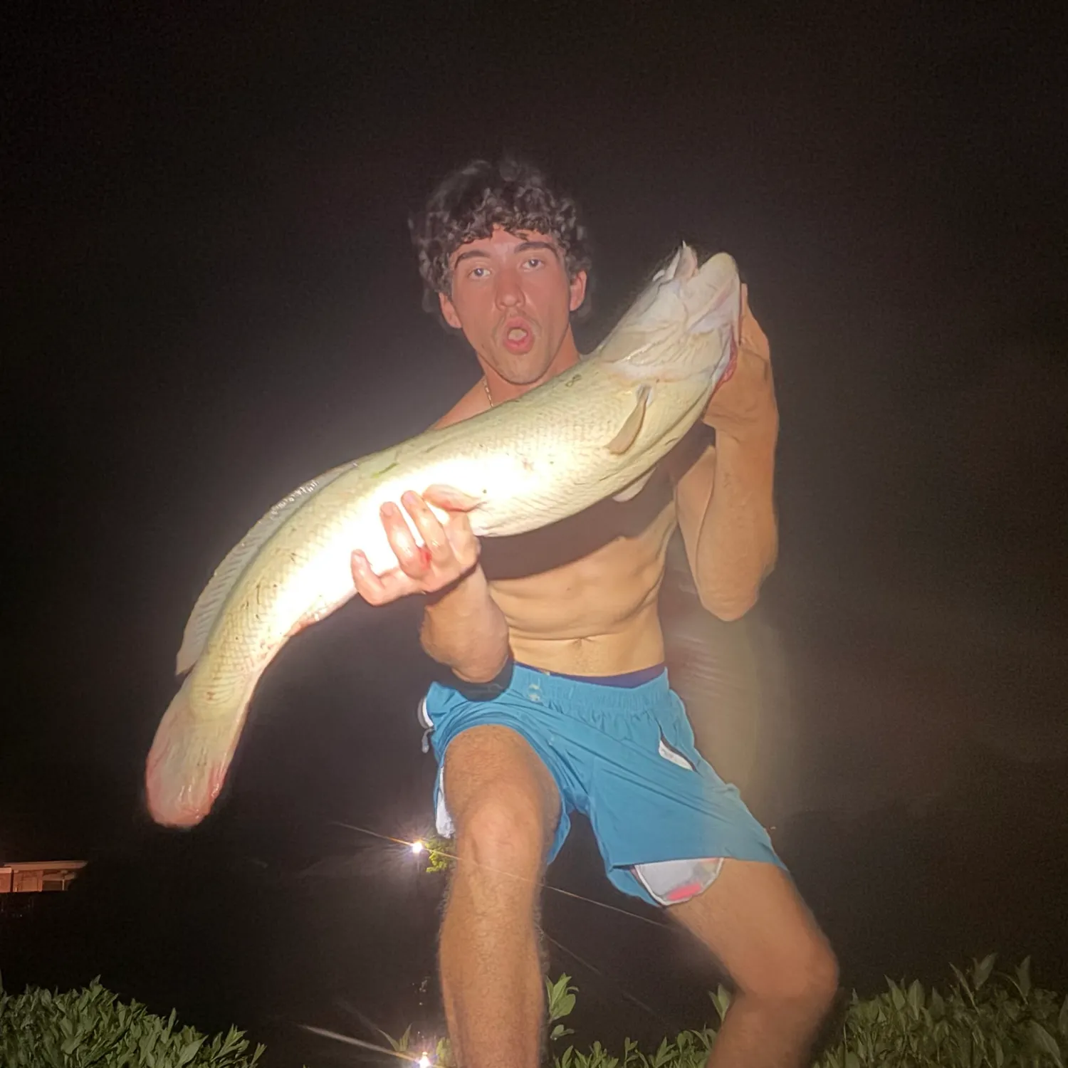 The most recent Eyetail bowfin catches on Fishbrain