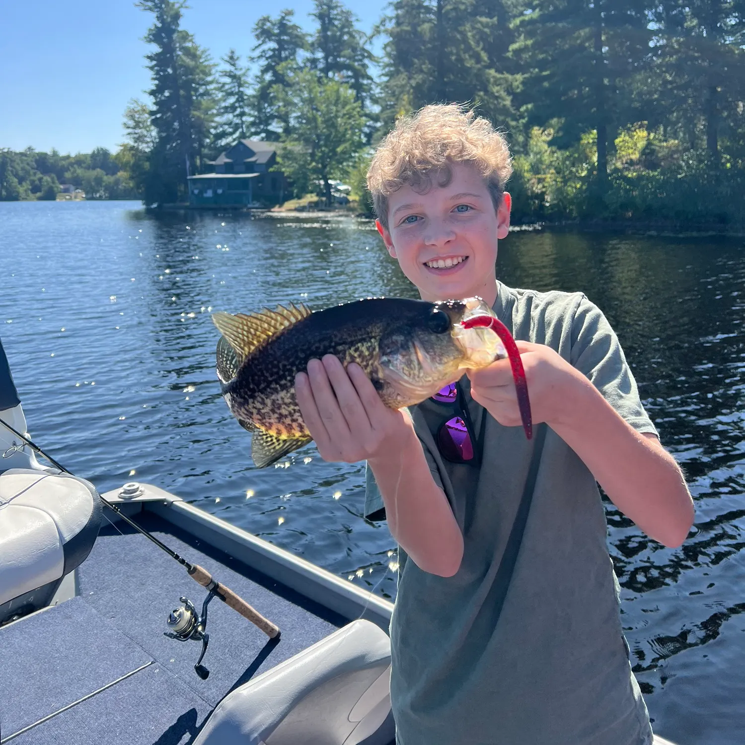 Black crappie caught on Fishbrain
