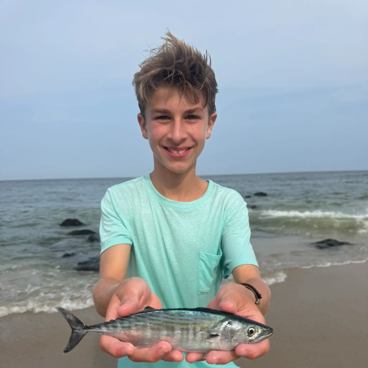 The most recent Atlantic bonito catches on Fishbrain