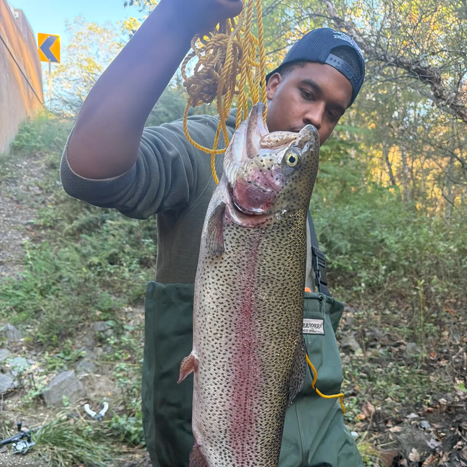 Rainbow trout caught on Fishbrain