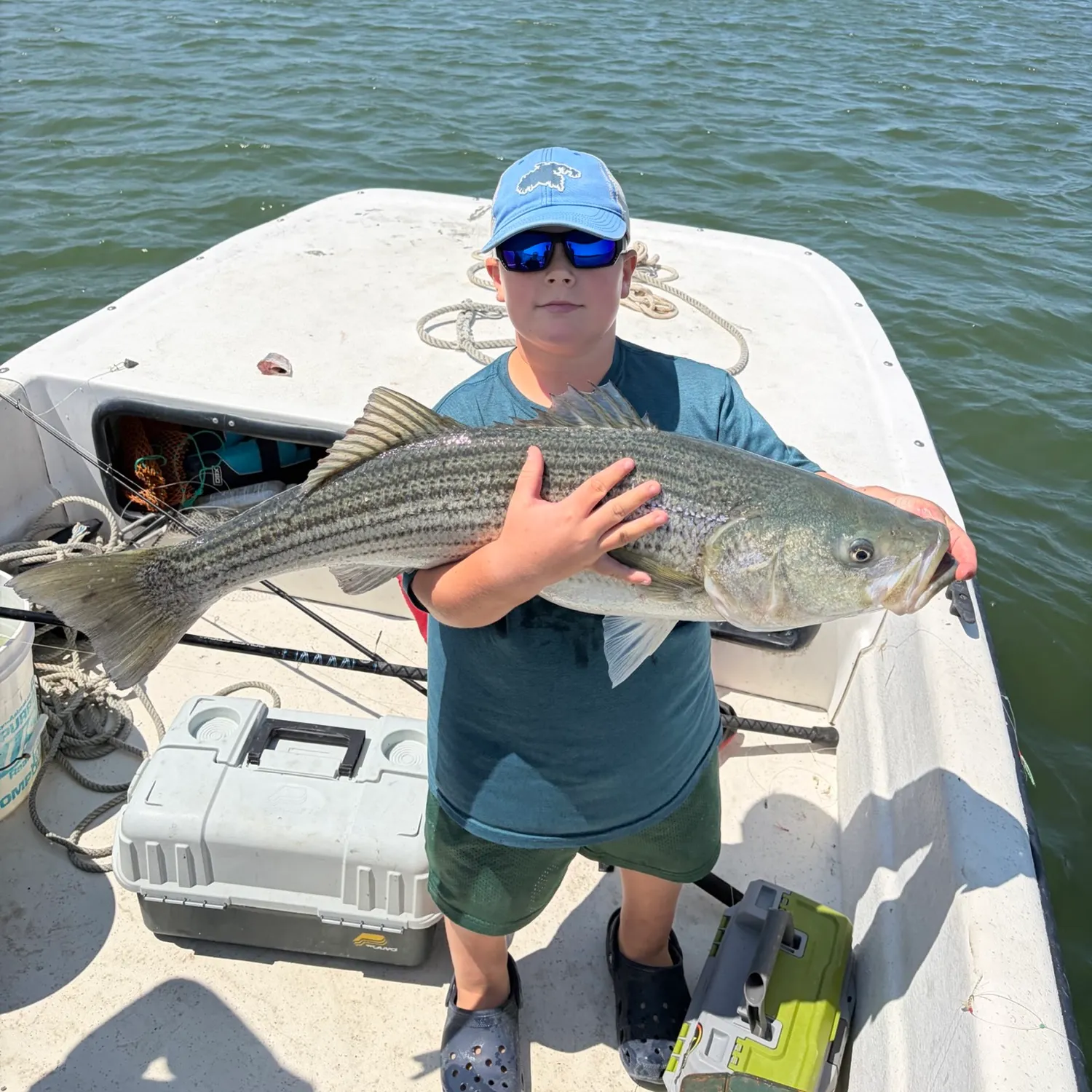Striped bass caught on Fishbrain