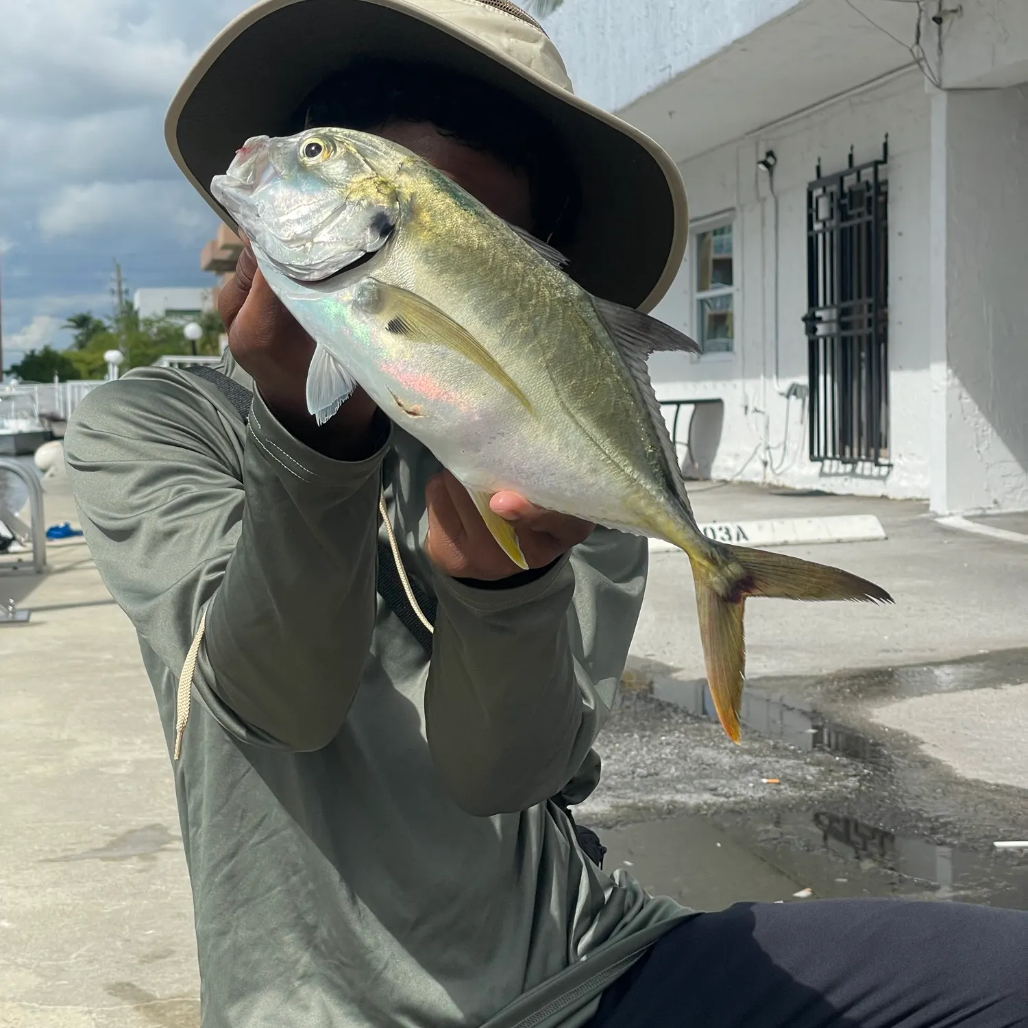 The most recent Crevalle jack catches on Fishbrain