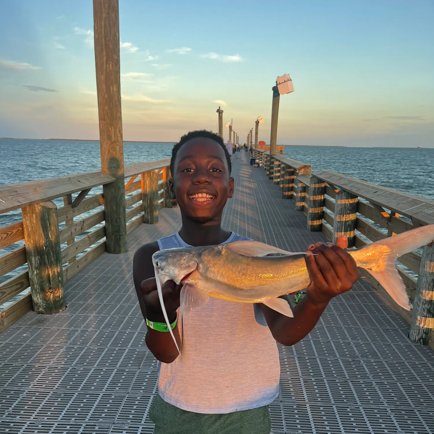 Gafftopsail sea catfish caught on Fishbrain