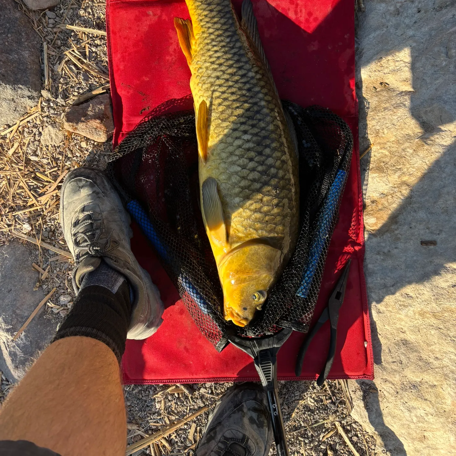 catch