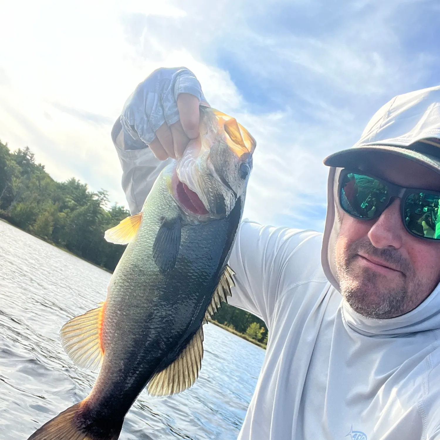 Largemouth bass caught on Fishbrain