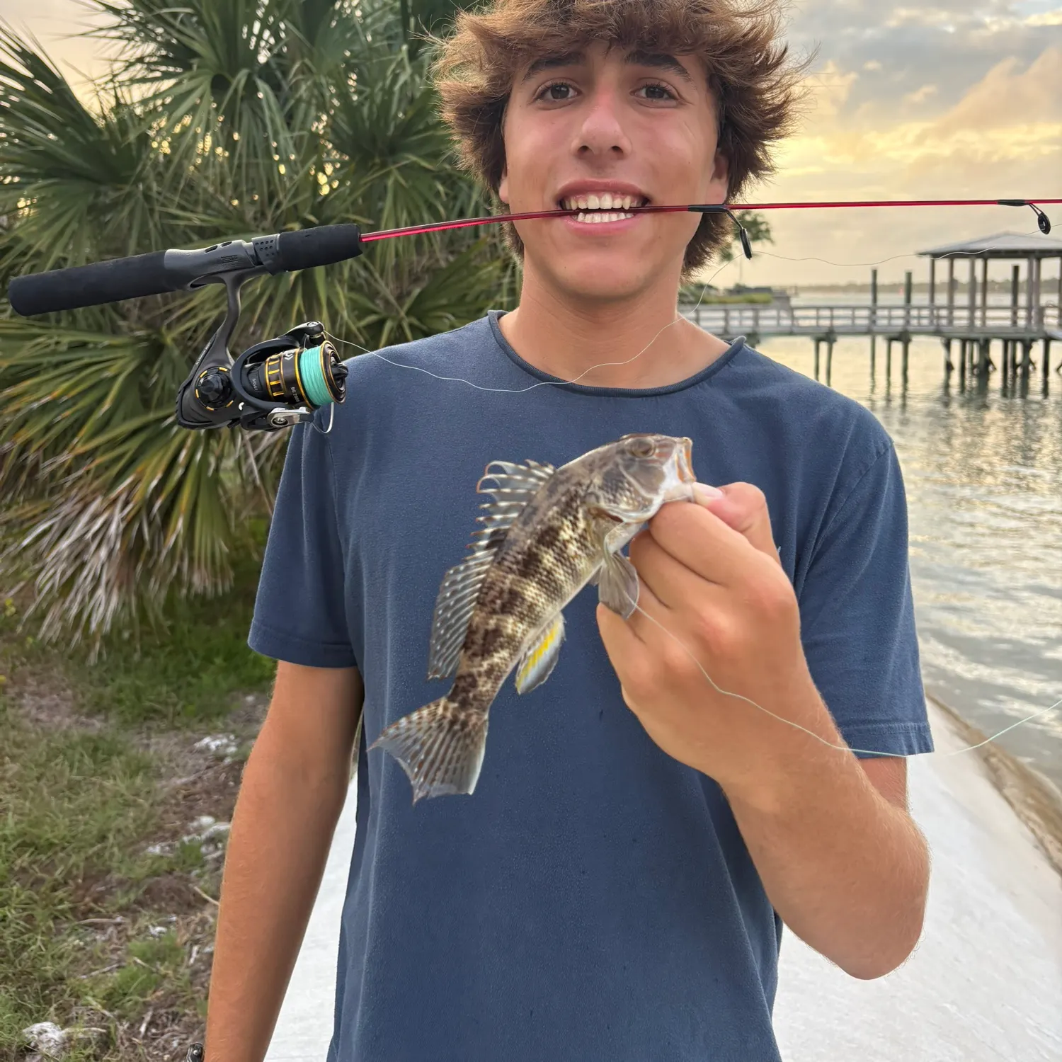 The most recent Rock sea bass catches on Fishbrain