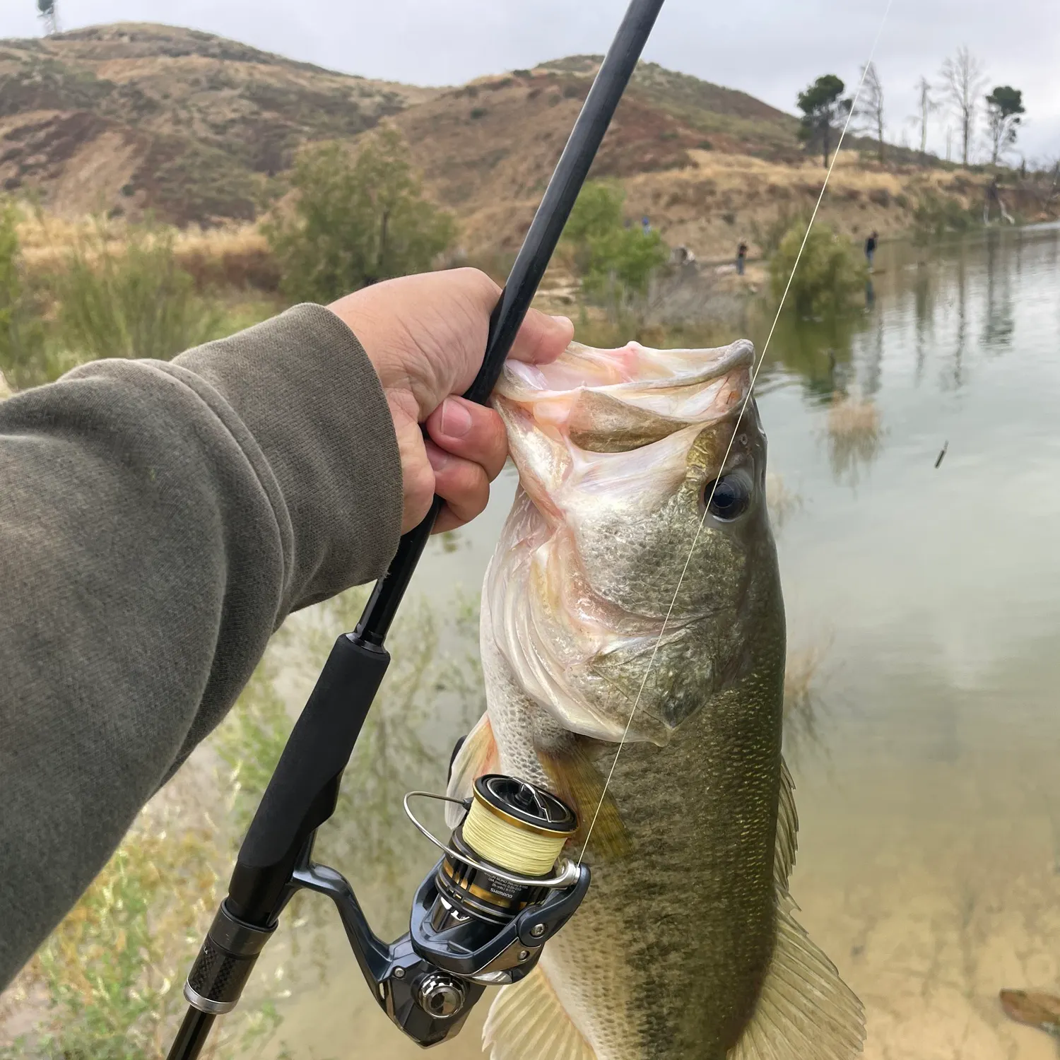 catch