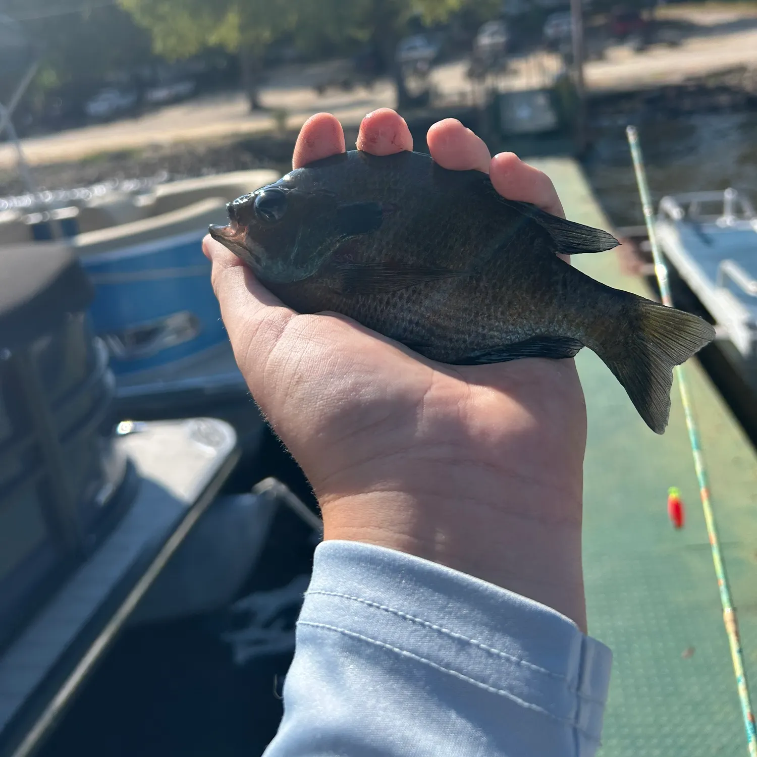 catch