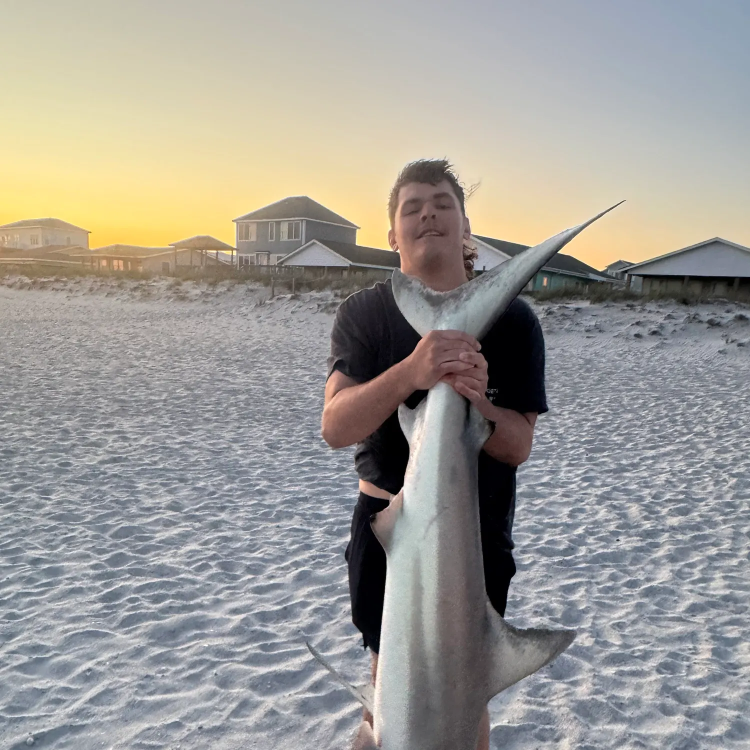 The most recent Blacktip shark catches on Fishbrain