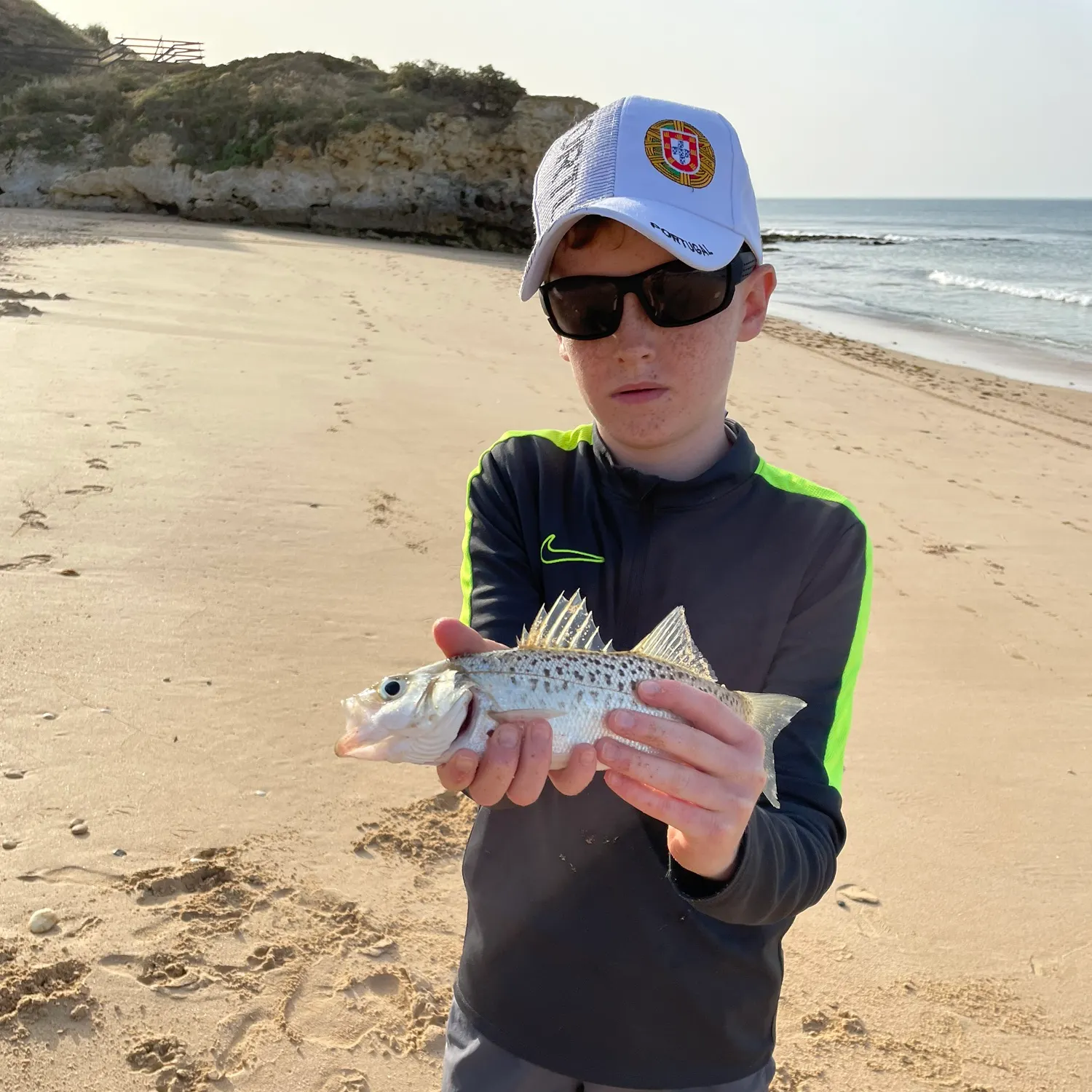 The most recent Spotted seabass catches on Fishbrain