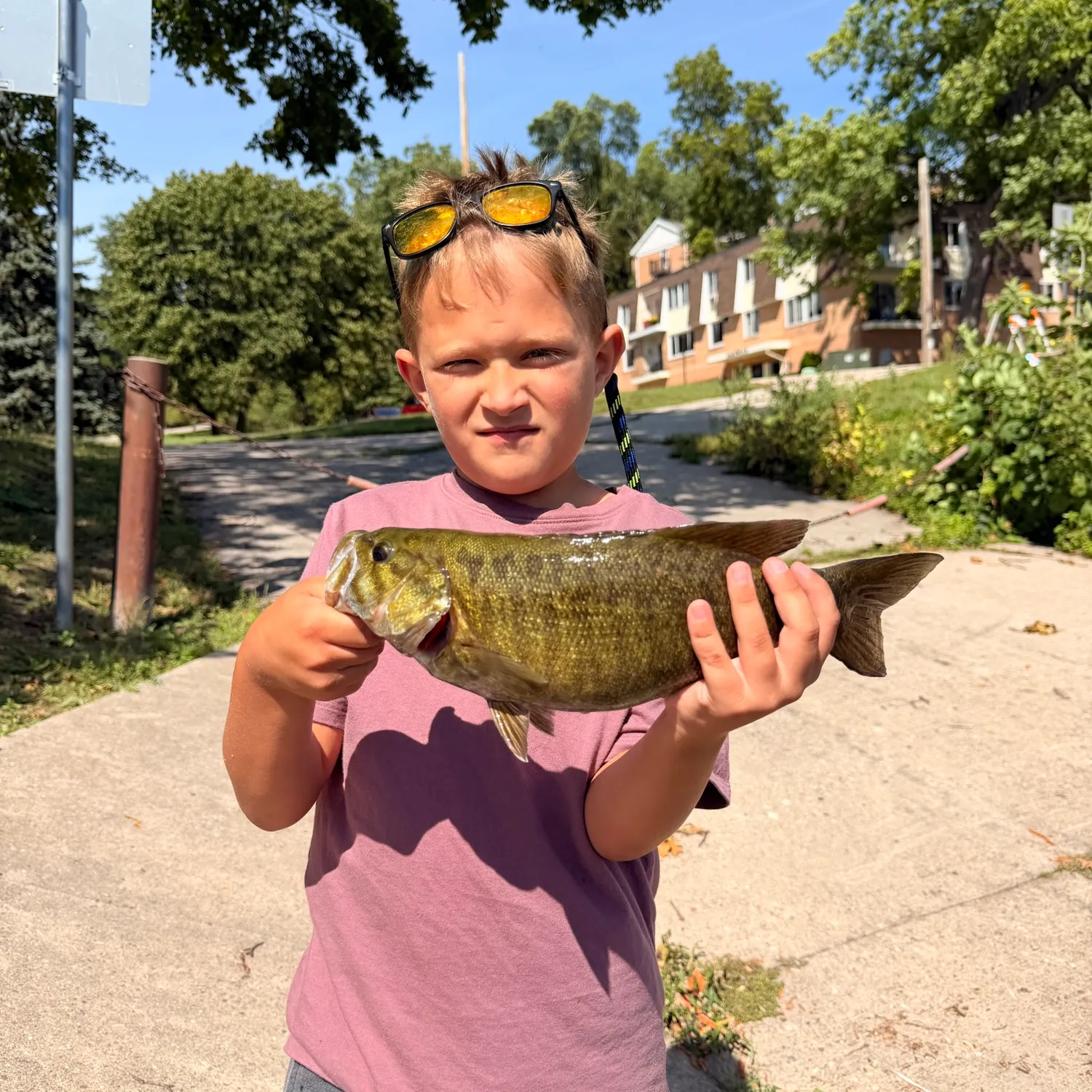 Smallmouth bass caught on Fishbrain