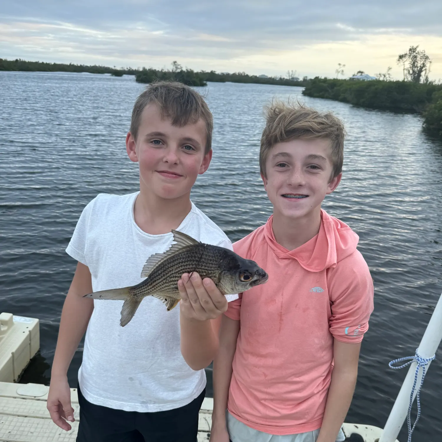 The most recent Striped mojarra catches on Fishbrain