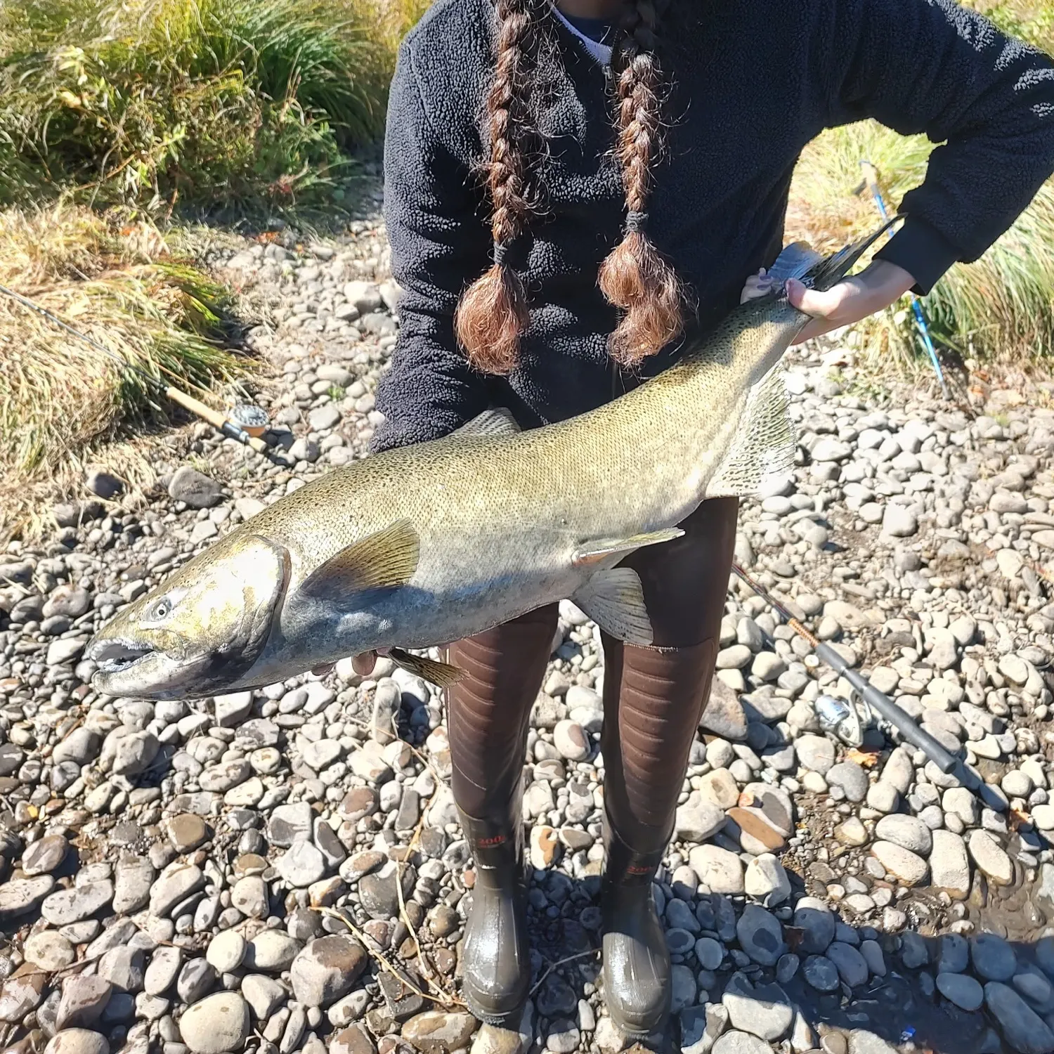 Chinook salmon caught on Fishbrain