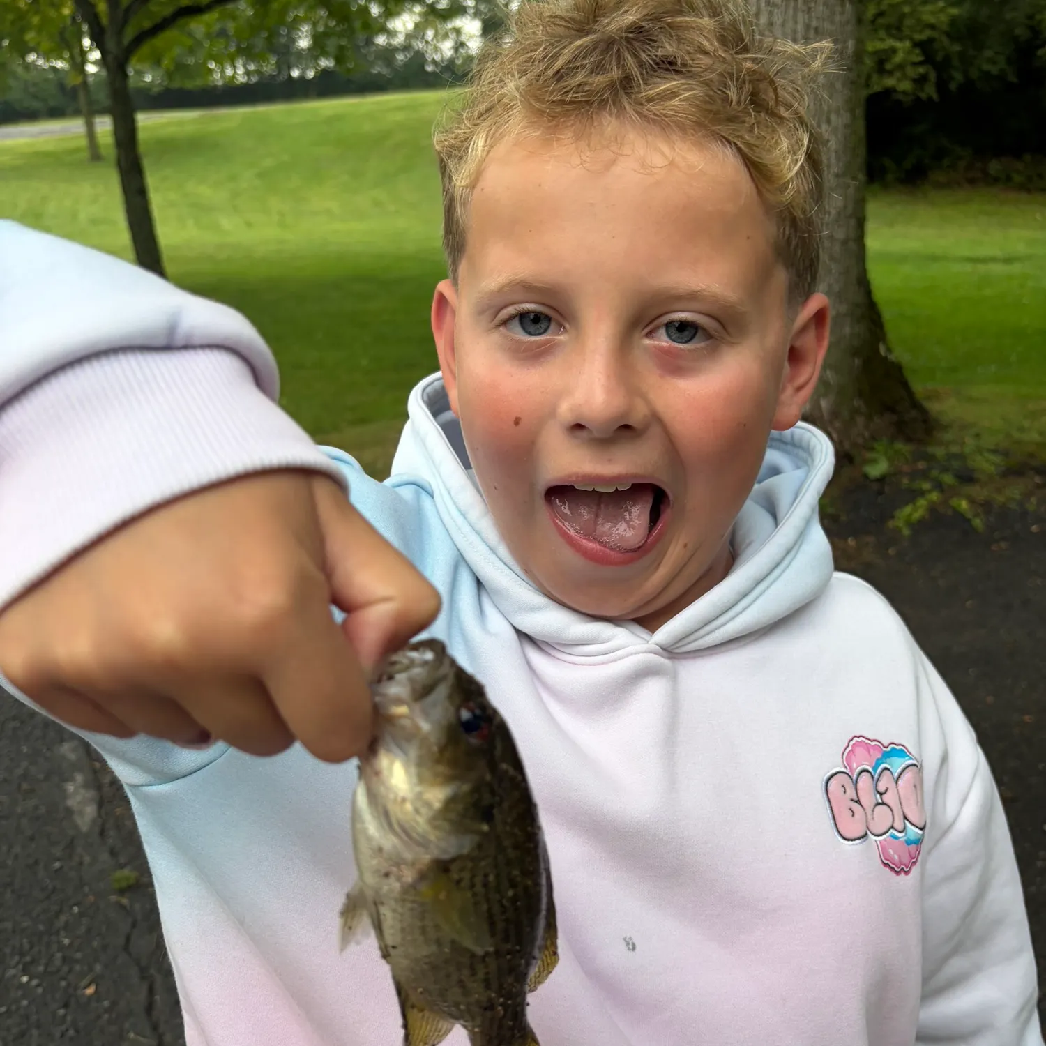 Rock bass caught on Fishbrain