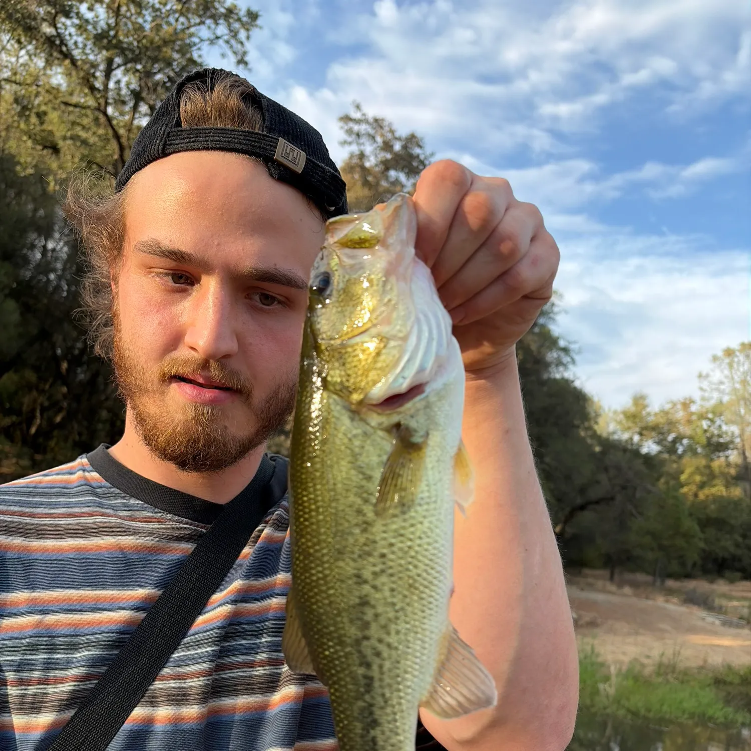 Smallmouth bass caught on Fishbrain