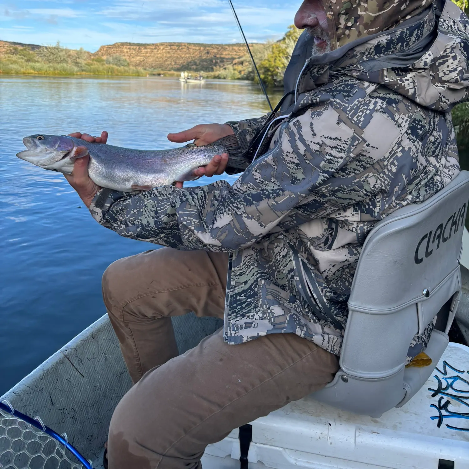 Rainbow trout caught on Fishbrain