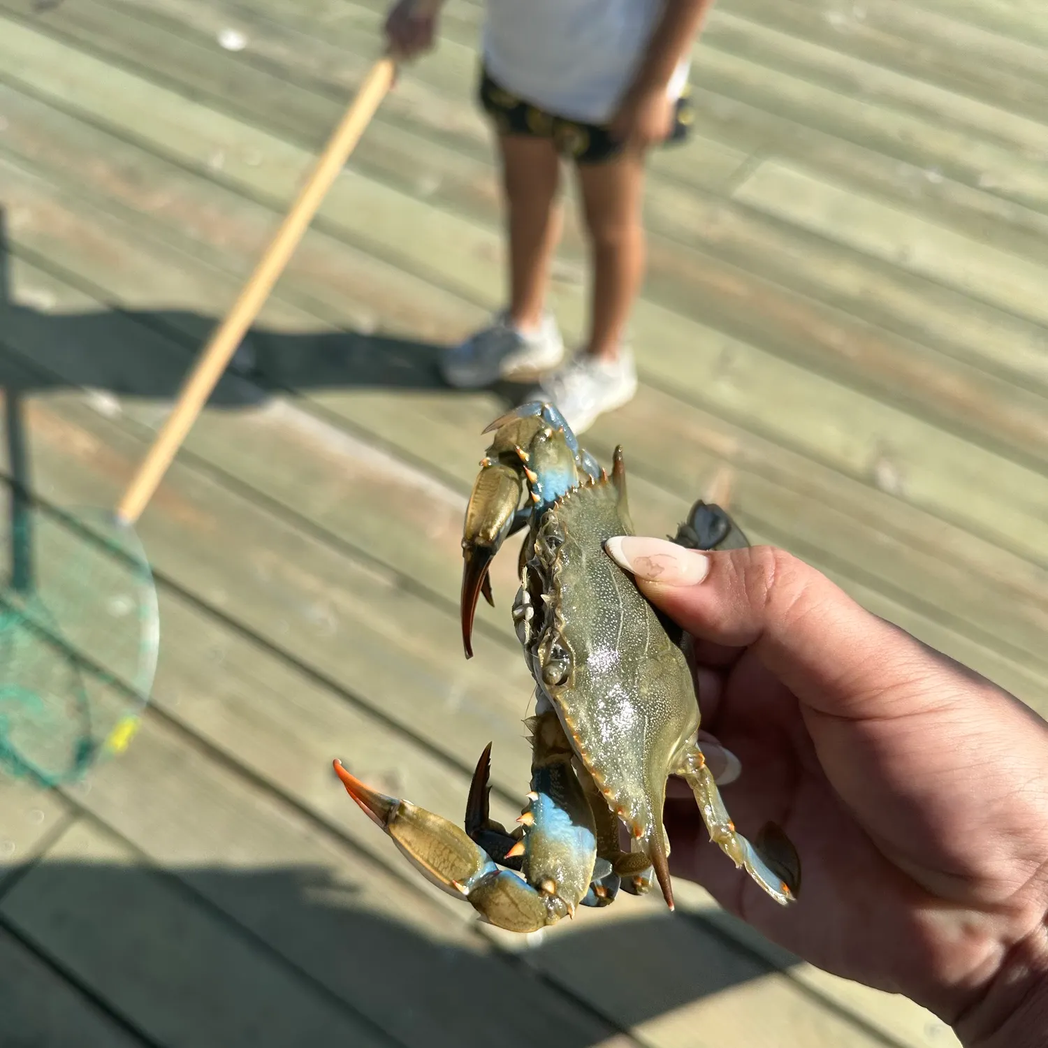 Fish caught on Fishbrain