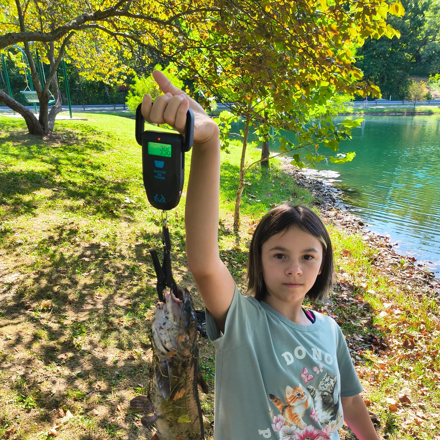 Channel catfish caught on Fishbrain