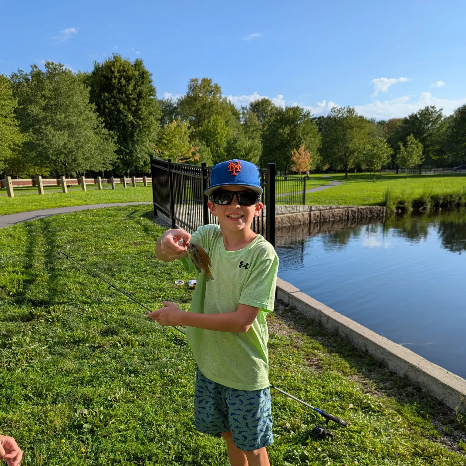 Green sunfish caught on Fishbrain