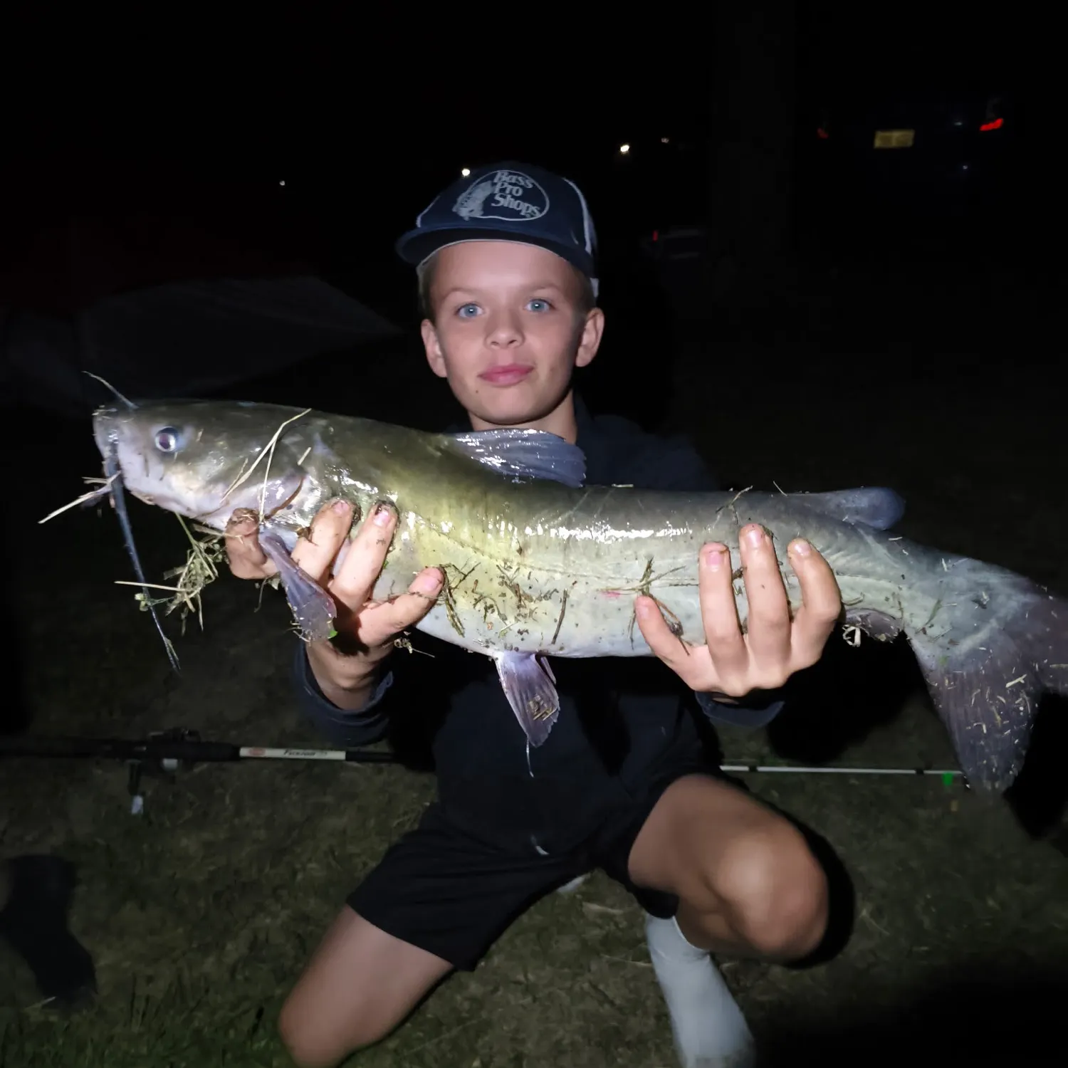 Channel catfish caught on Fishbrain