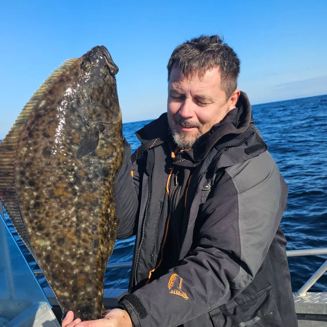 The most recent Atlantic halibut catches on Fishbrain