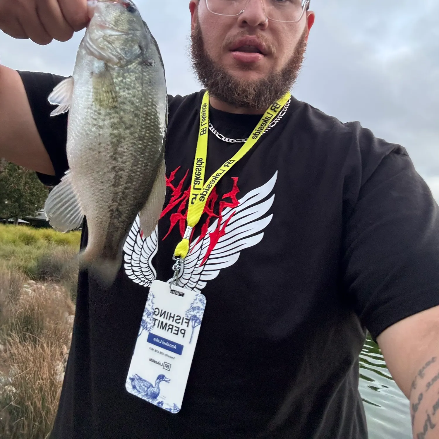 recently logged catches