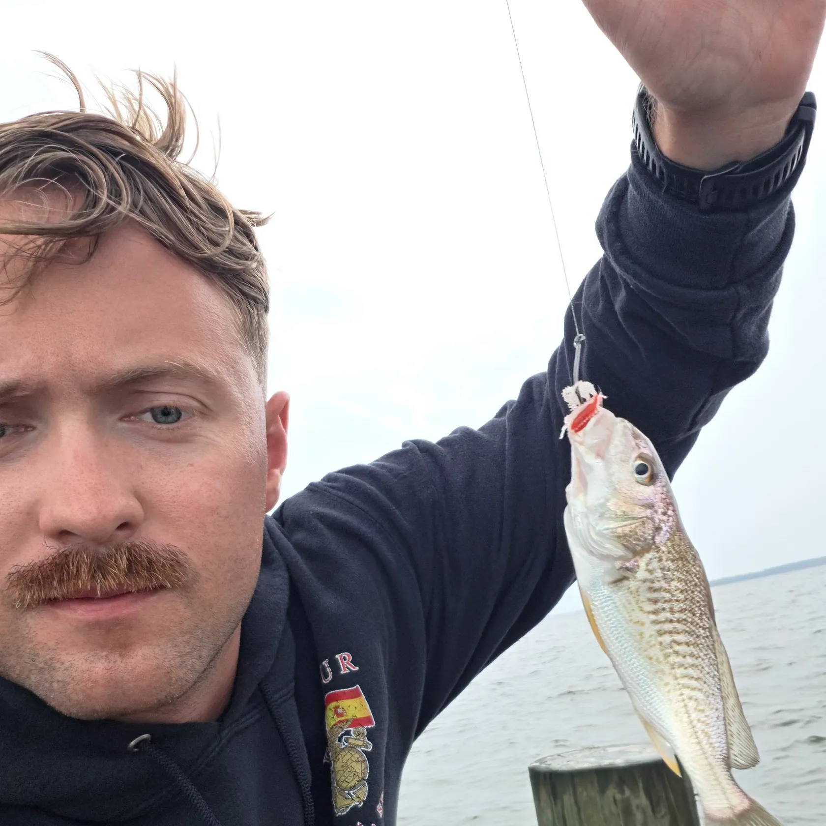 Atlantic croaker caught on Fishbrain
