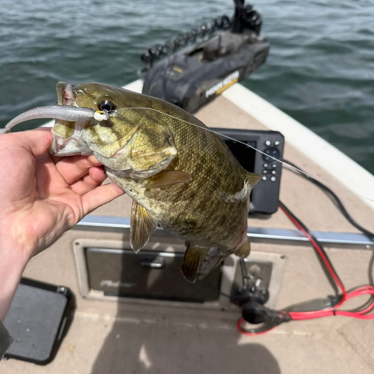 Smallmouth bass caught on Fishbrain