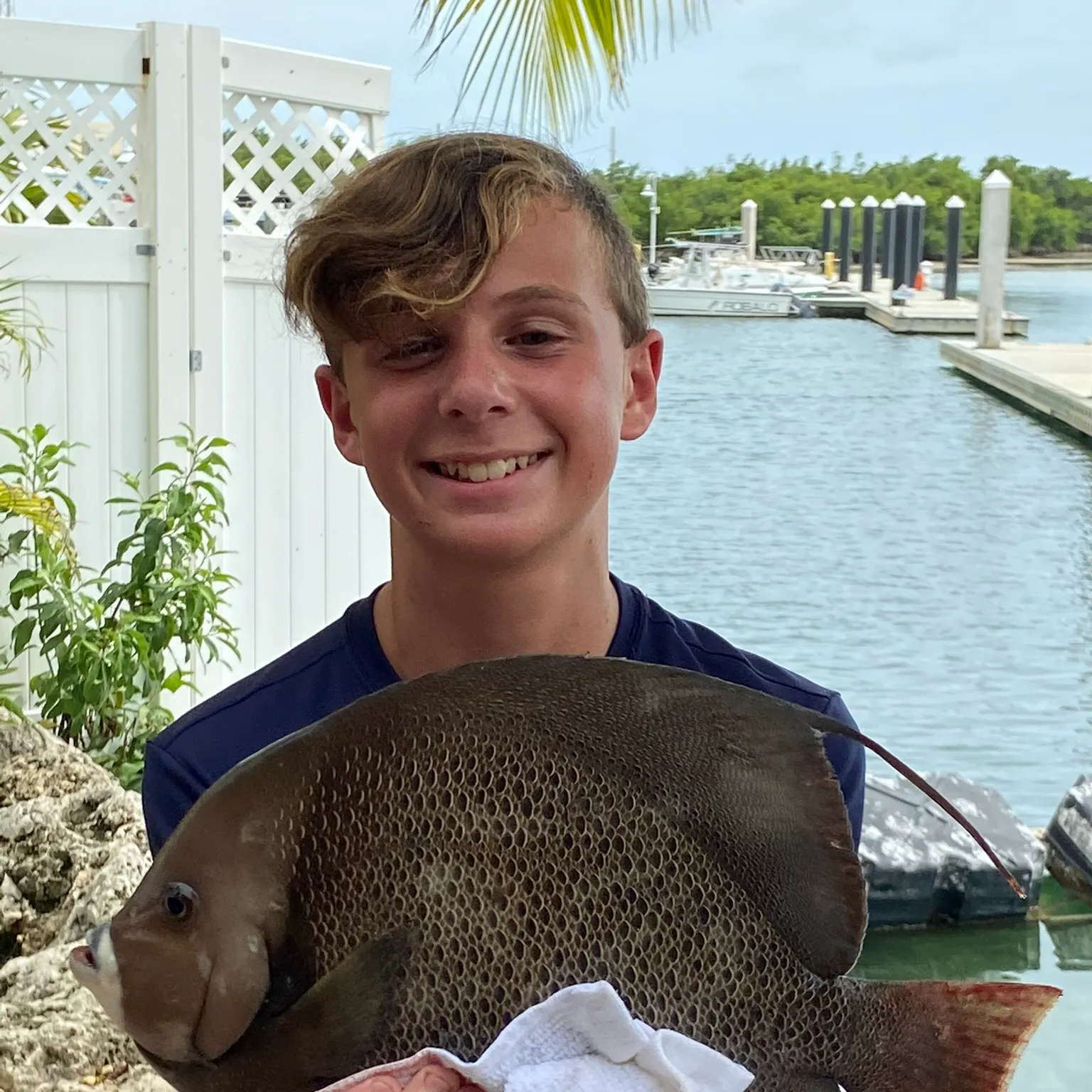 The most recent Gray angelfish catches on Fishbrain