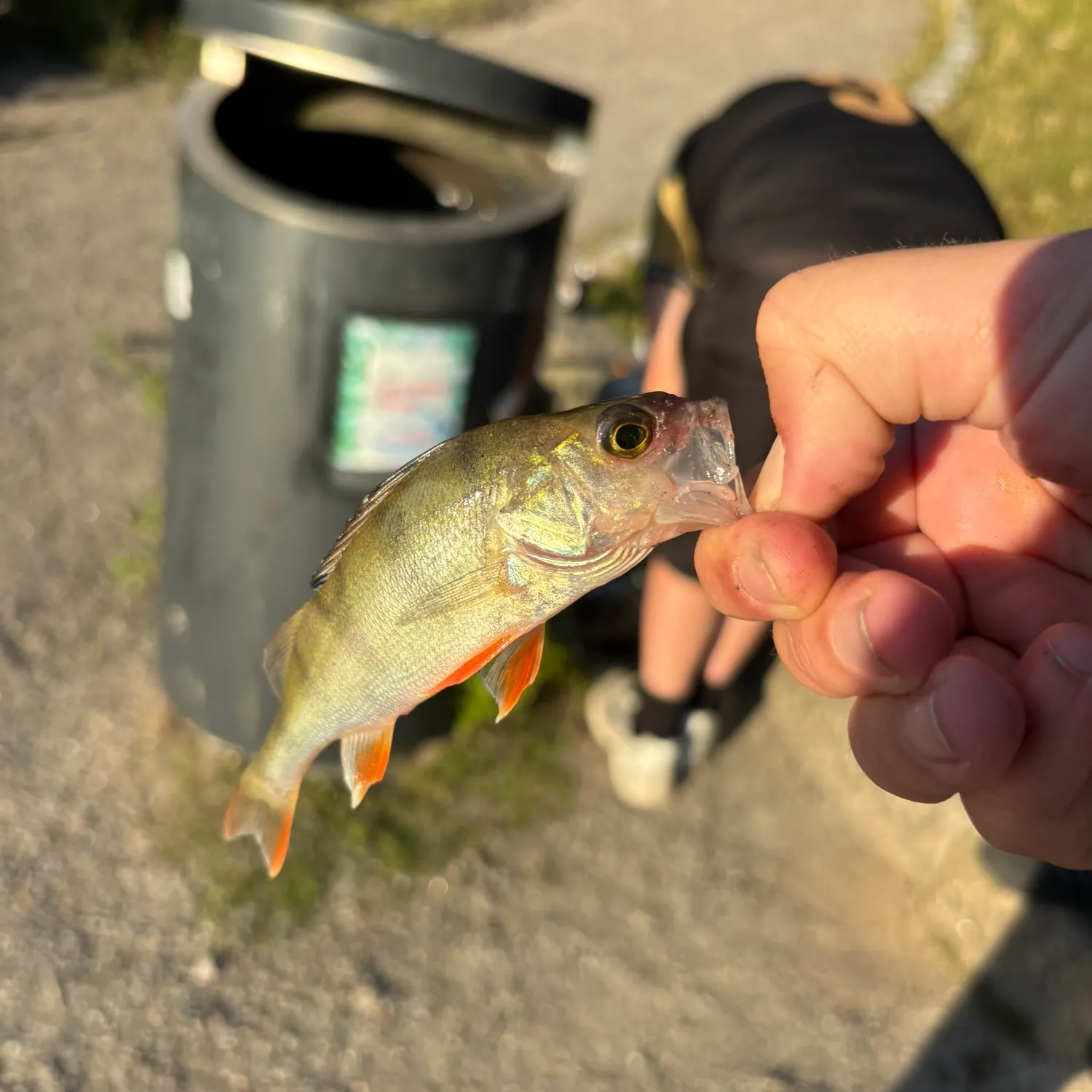 catch