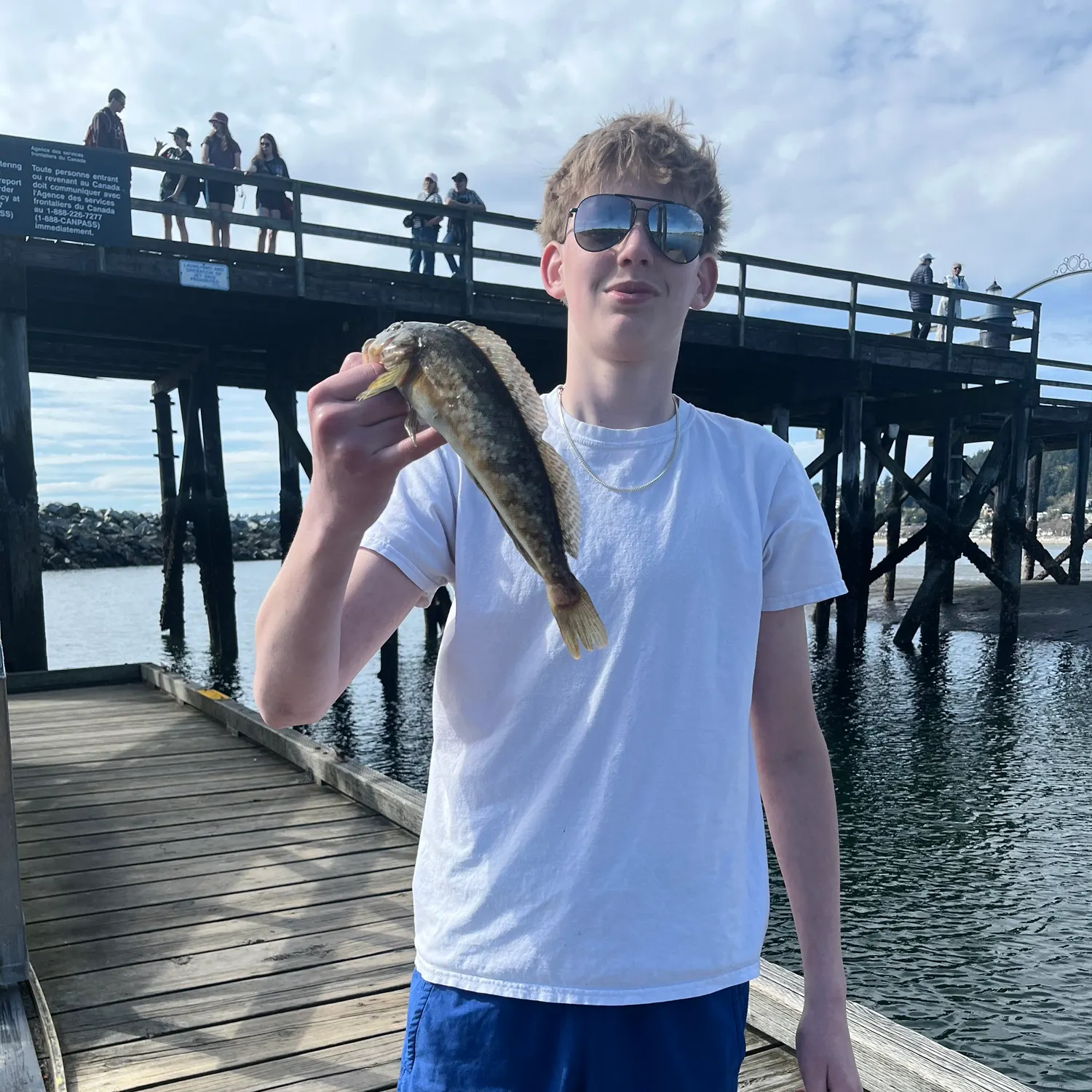 The most recent Kelp greenling catches on Fishbrain