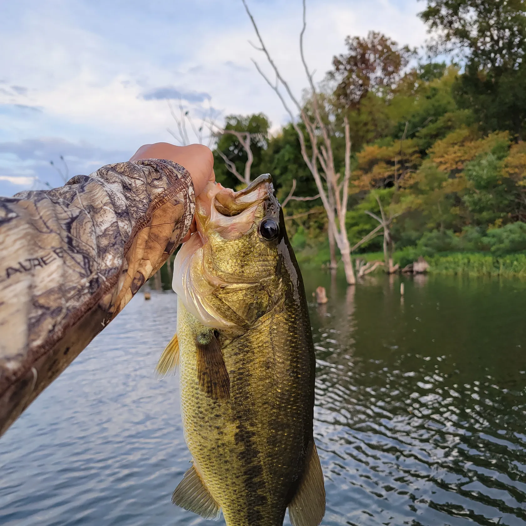 Fish caught on Fishbrain