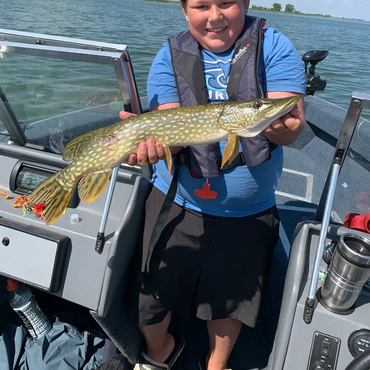 Northern pike caught on Fishbrain