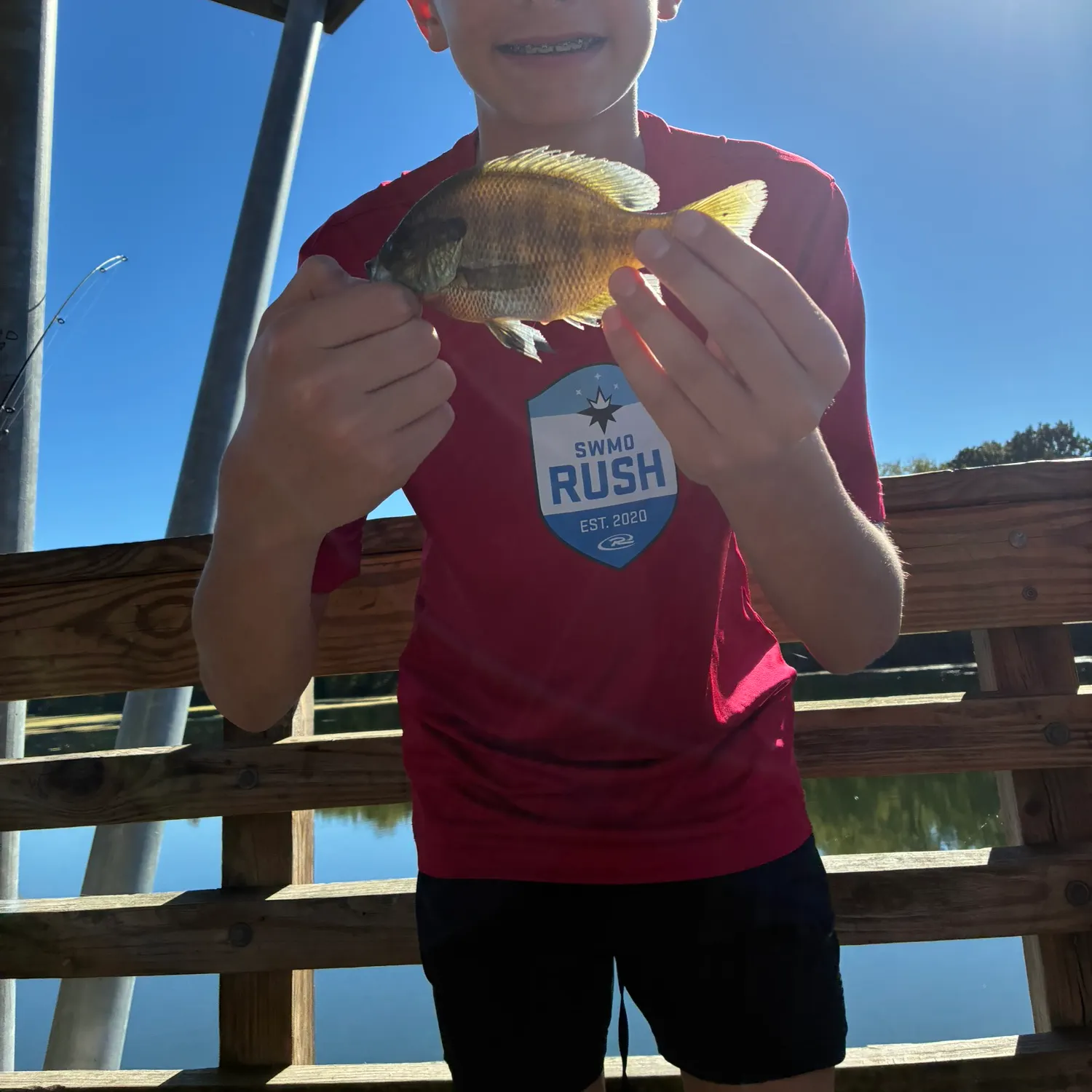Bluegill caught on Fishbrain