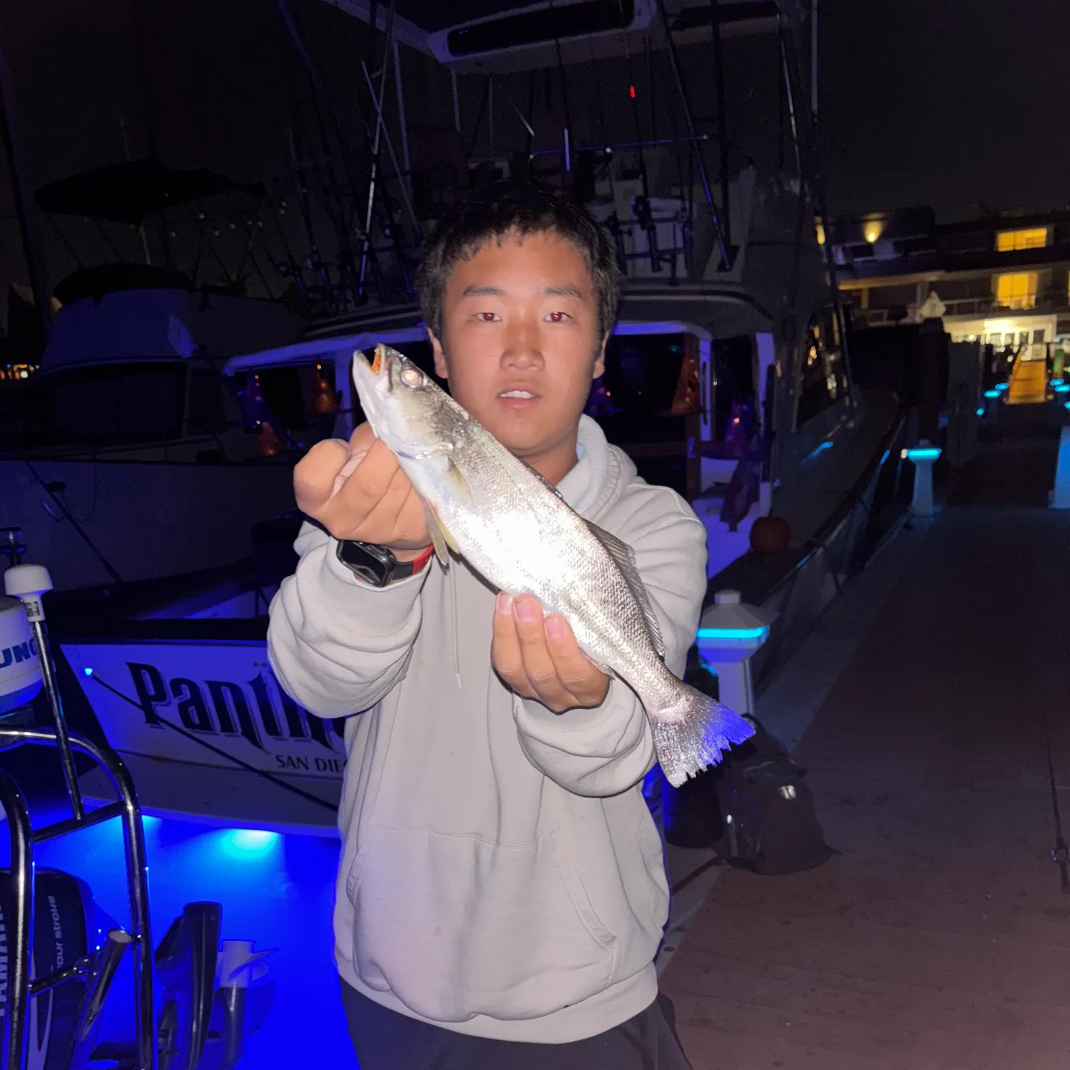 The most recent Stolzmann's weakfish catches on Fishbrain