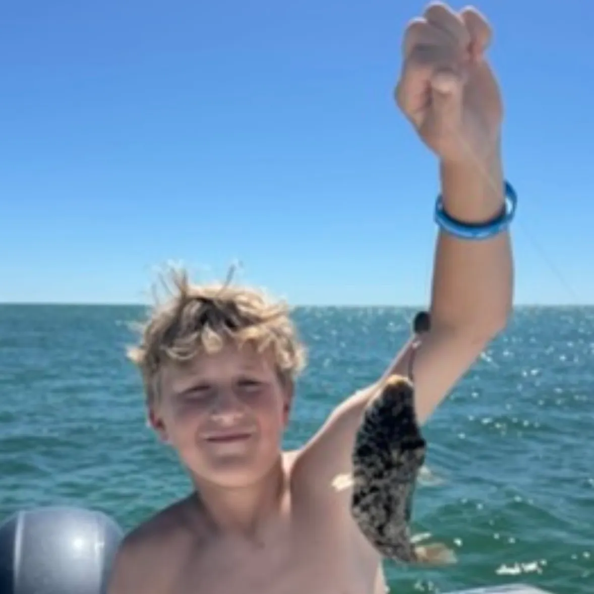The most recent Reticulated pufferfish catches on Fishbrain