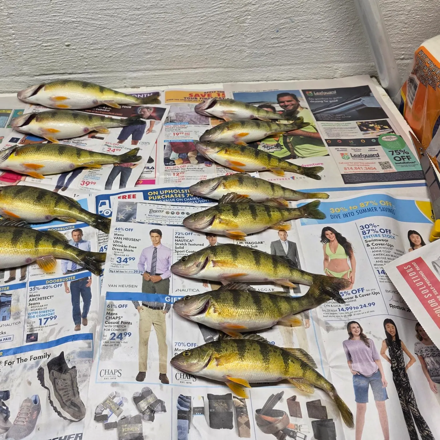 recently logged catches