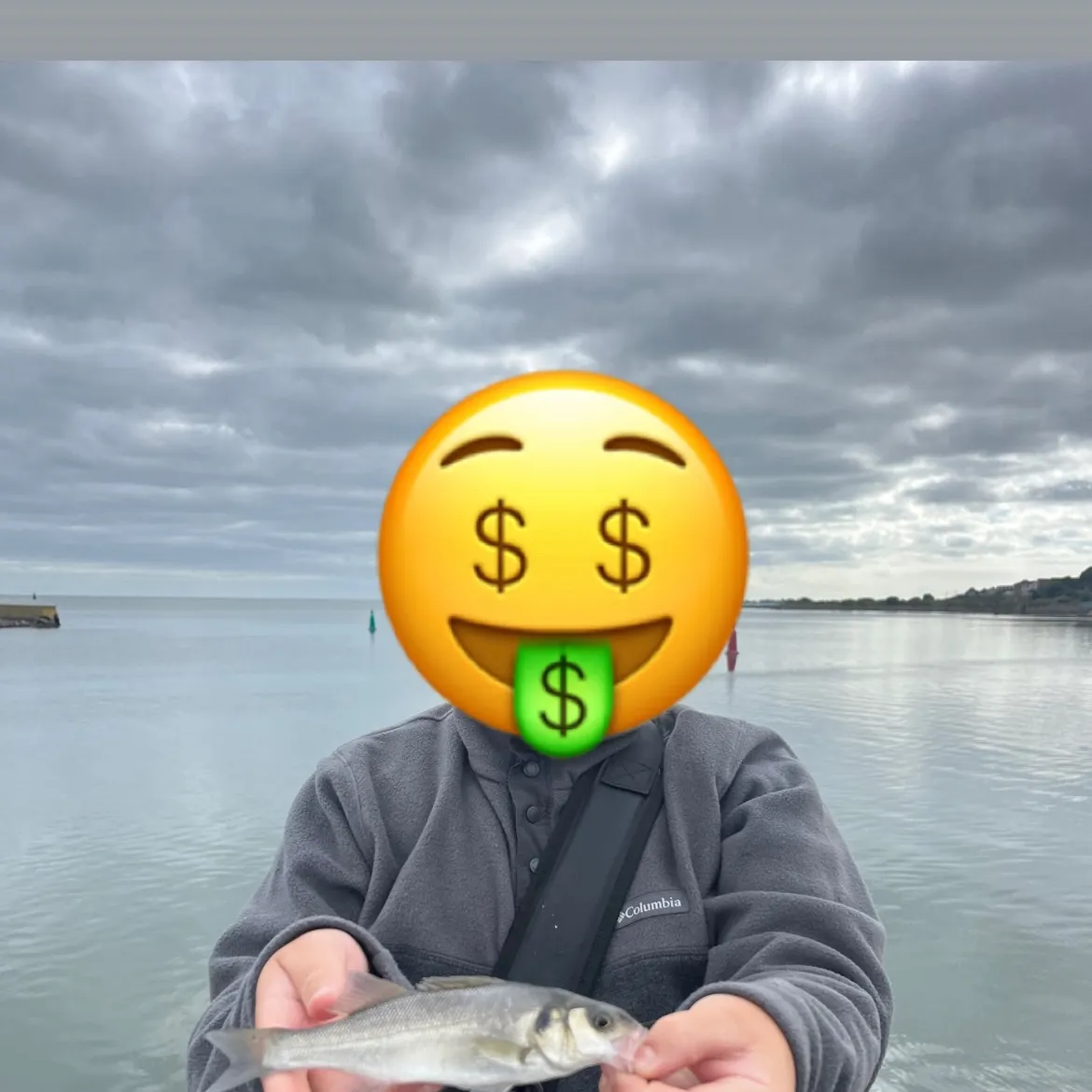 European seabass caught on Fishbrain