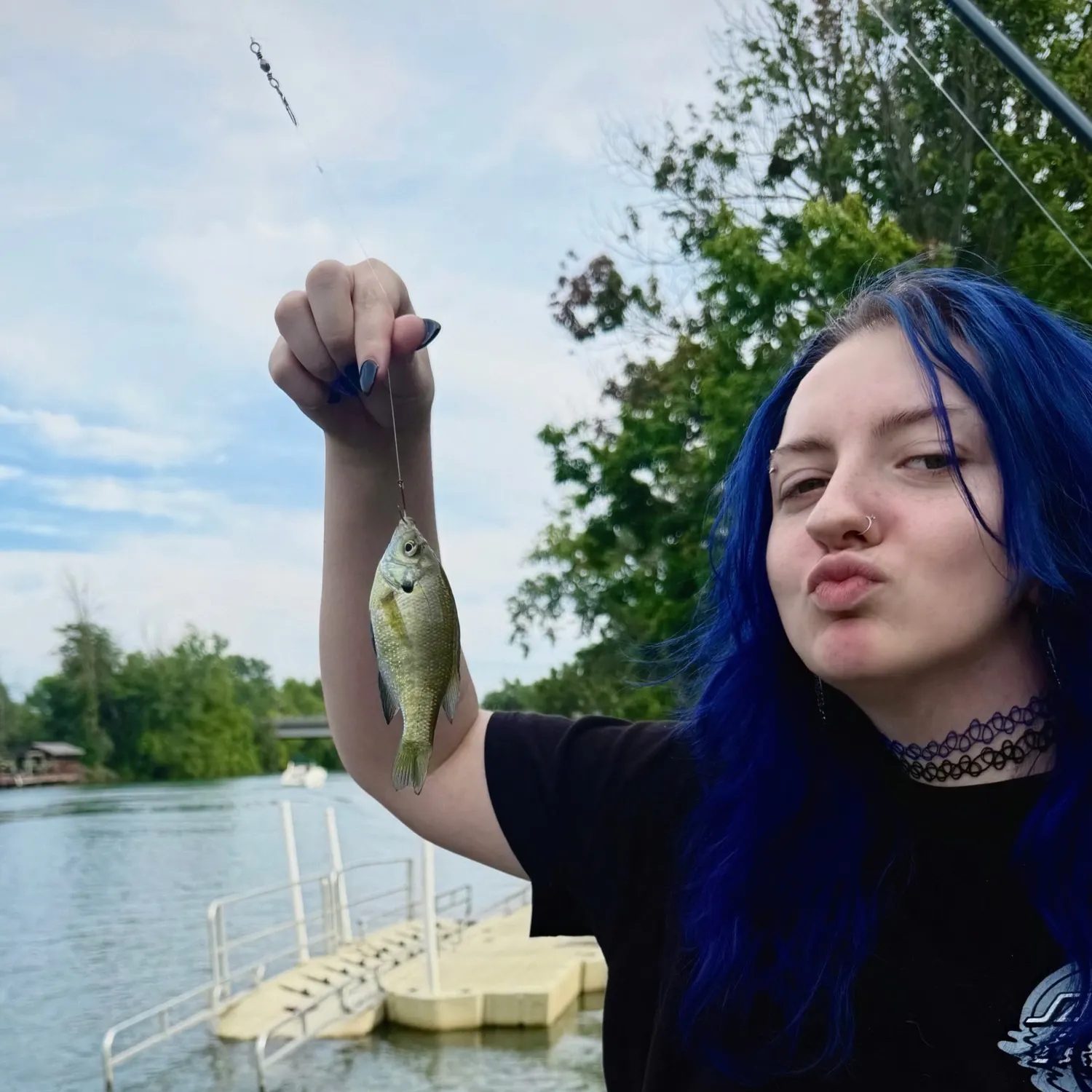 Bluegill caught on Fishbrain