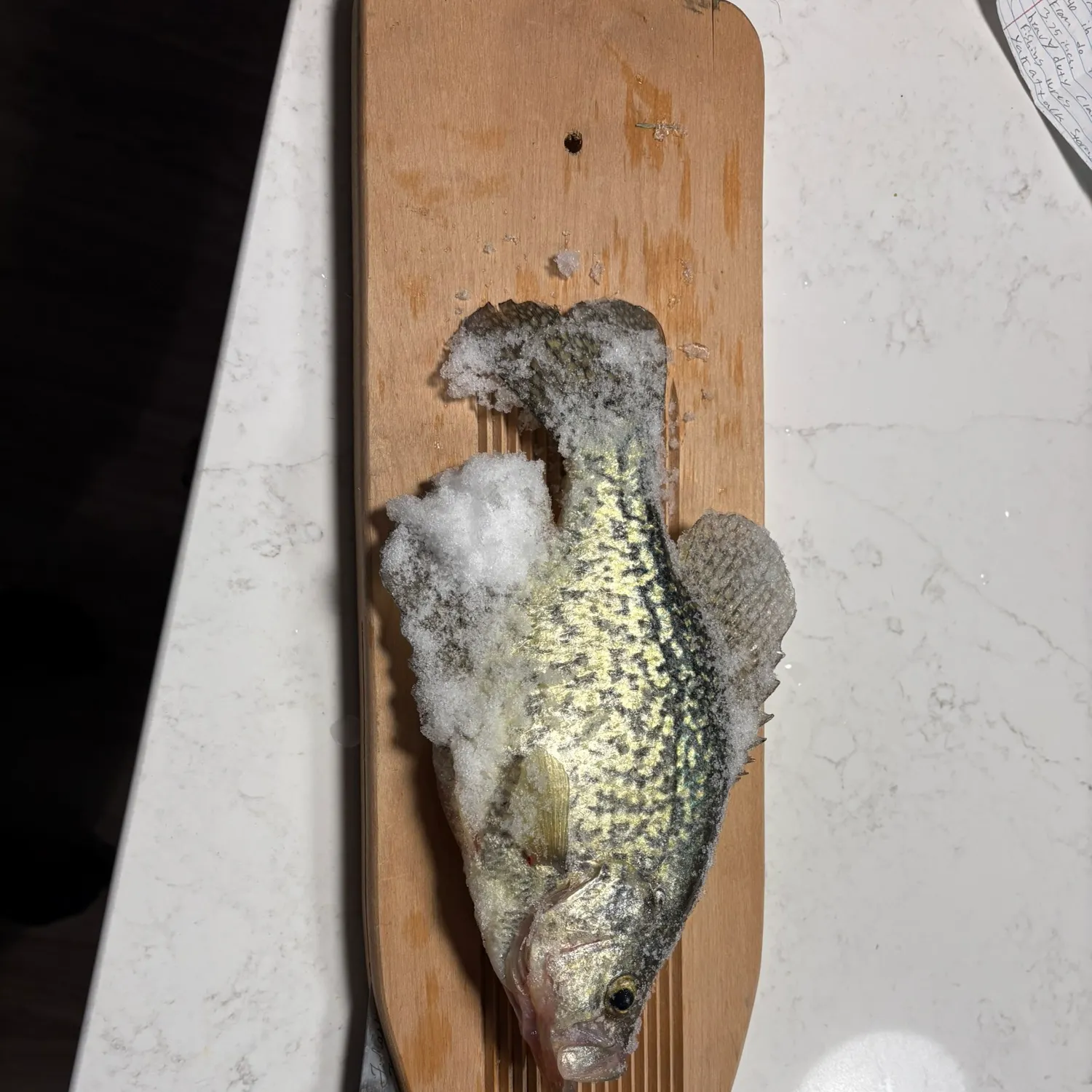 recently logged catches